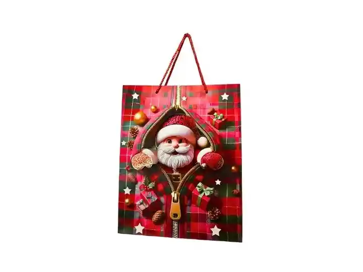 Bolsa Regalo Santa Claus Xl 31x40cm Relieve 3d Cuadros - Regalos Chic