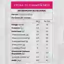 Crema De Champiñones