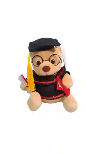 Osito Graduacion Unisex