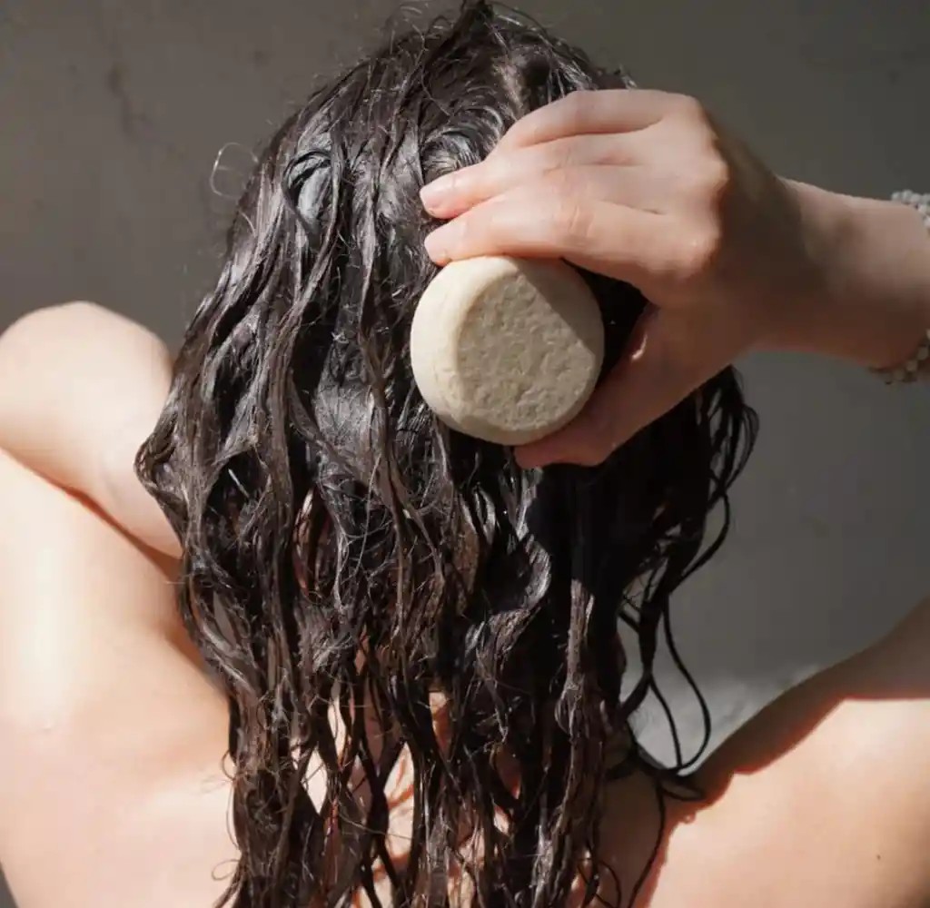 Champú Cabello Normal "equilibrio"