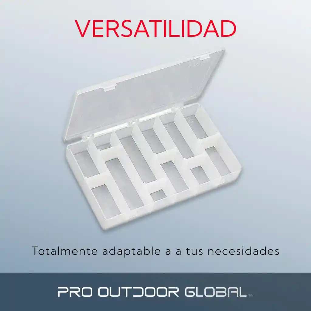 Caja Plastica Divisiones Movibles