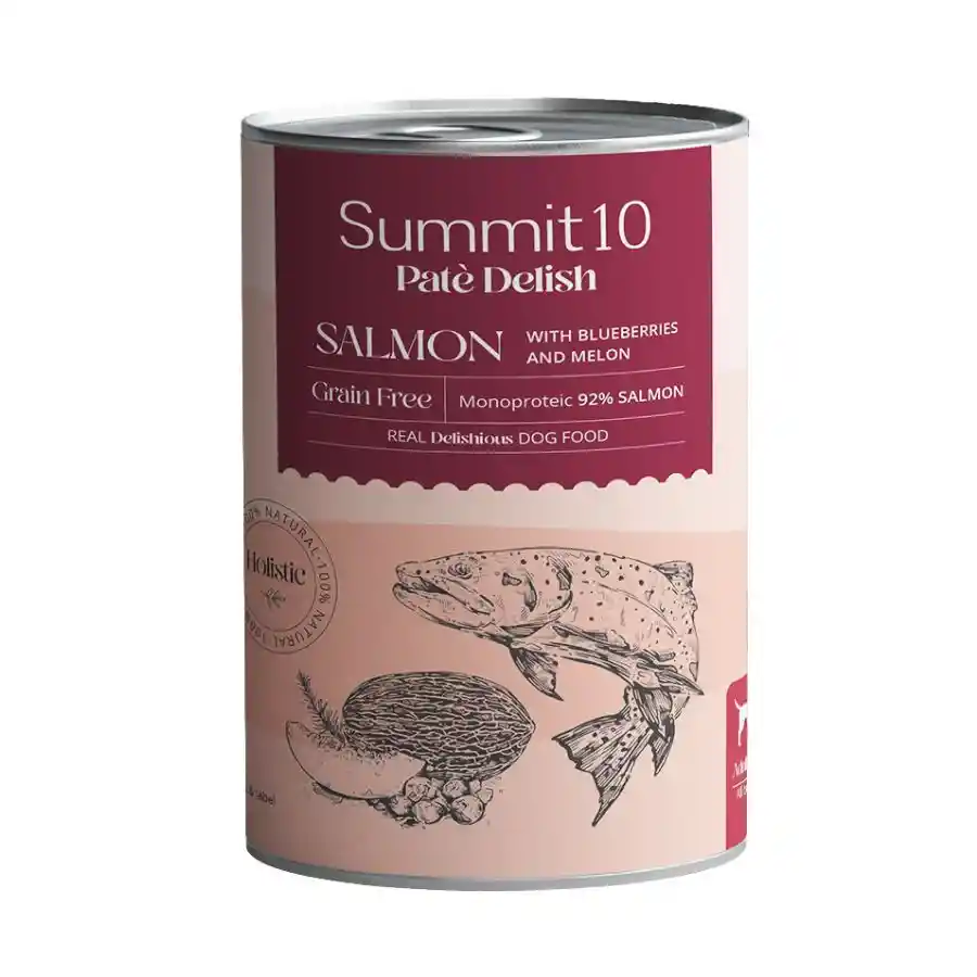 Summit 10 Pate Delish Con Salmón Para Perros 400gr 400 Gr