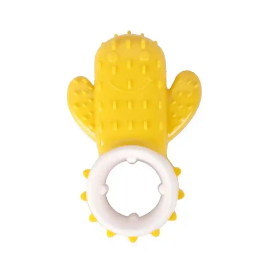 Juguete Refrescante Cactus Dental Turquesa Turquesa