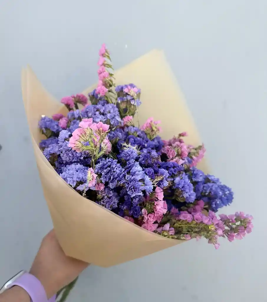 Ramito Seco De Estatice