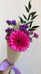 Gerbera