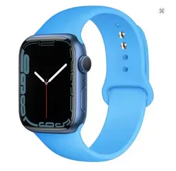 Correa Applewatch 38/41mm - Celeste