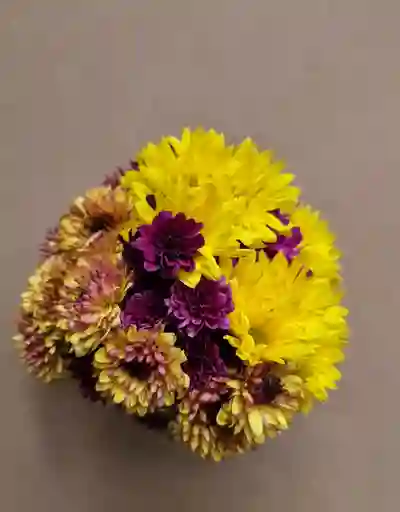 Ramo De Maule Mix Simple