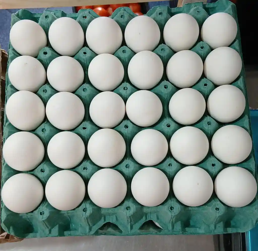 Huevos Extra Bandeja 30 Unidades