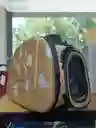 Bolso Transportador