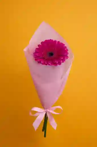 Gerbera Rosada En Arreglo