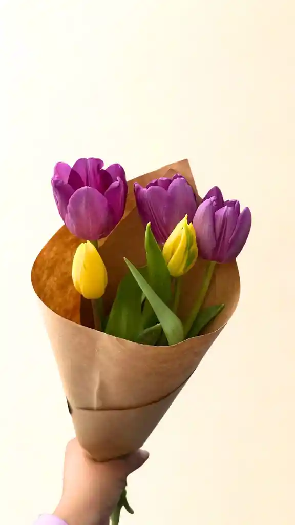 5 Varas De Tulipanes Dos Tonos