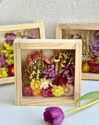Cuadrito De Flores Secas