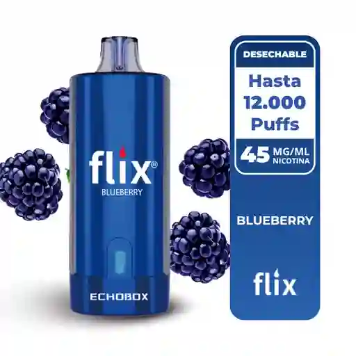 Flix Echobox Blueberry 12.000 Puffs.