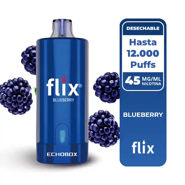 Flix Echobox Blueberry 12.000 Puffs.