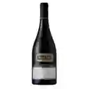 Santa Ema Gran Reserva Syrah