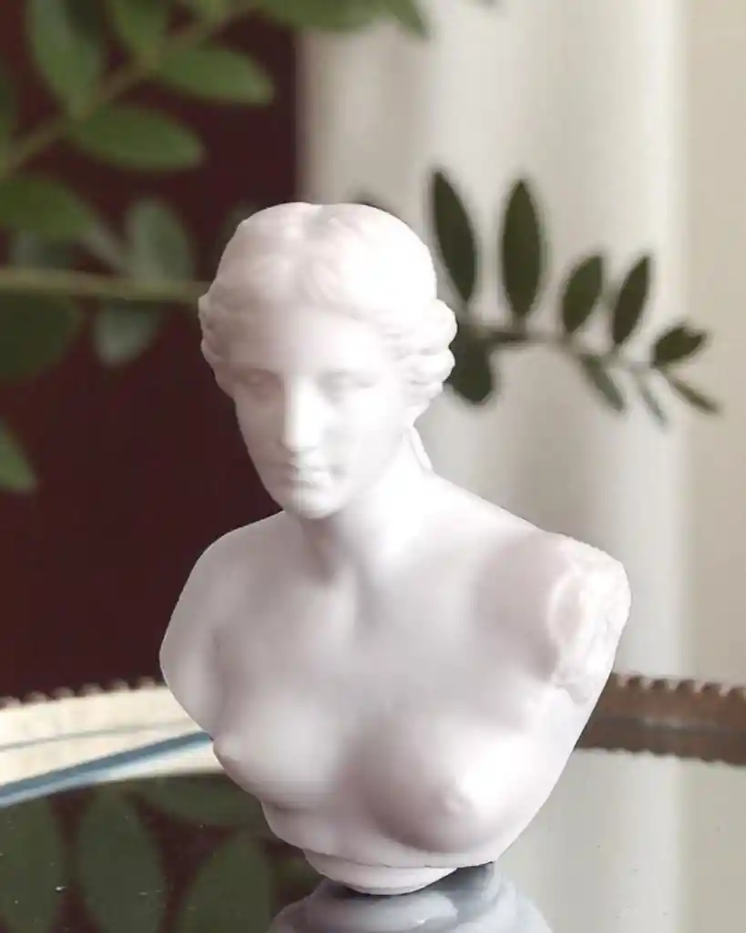 Busto Venus De Milo