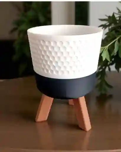 Macetero Suculenta Negro Con Blanco