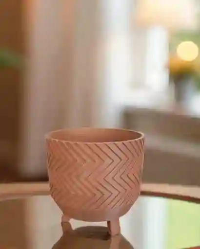 Macetero Suculenta Colorcafé