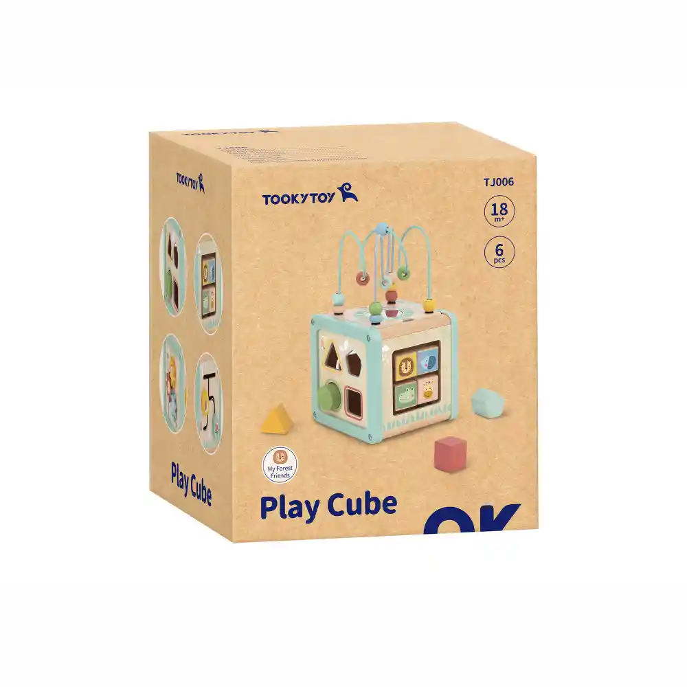 Cubo Didáctico De Madera Tooky Toy Tj006