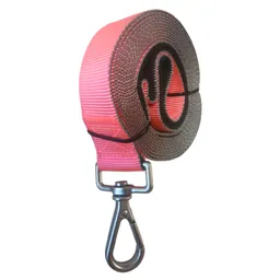Correa Larga Resistente Para Perros (3 Mt X 2,5 Cm)