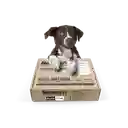 Caja De Menu Perro Pollo