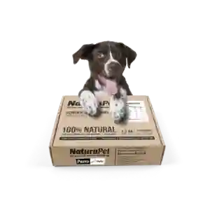 Caja De Menu Perro Pollo