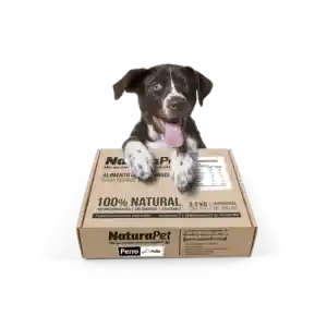 Caja De Menu Perro Pollo