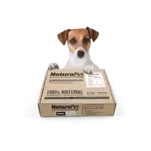 Caja De Menú Perro Pollo Salmón