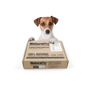 Caja De Menú Perro Pollo Salmón