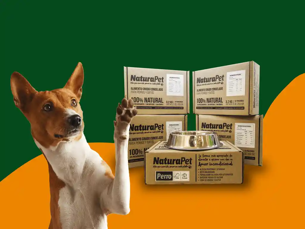 Caja De Menú Perro Pollo Salmón