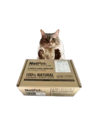 Caja De Menú Gato Pollo