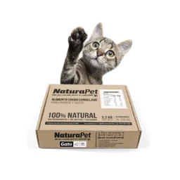 Caja De Menú Gato Pollo Salmón