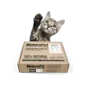 Caja De Menú Gato Pollo Salmón