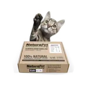 Caja De Menú Gato Pollo Salmón