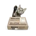 Caja De Menú Gato Salmon