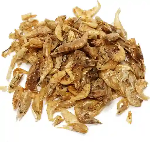 Camarón Gammarus Alimento Para Tortugas