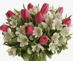 Ramo Tulipan Y Astromelias