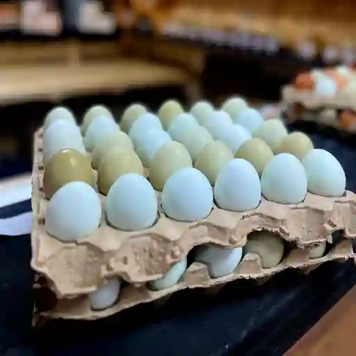 Huevos De Campo Primera Araucanos