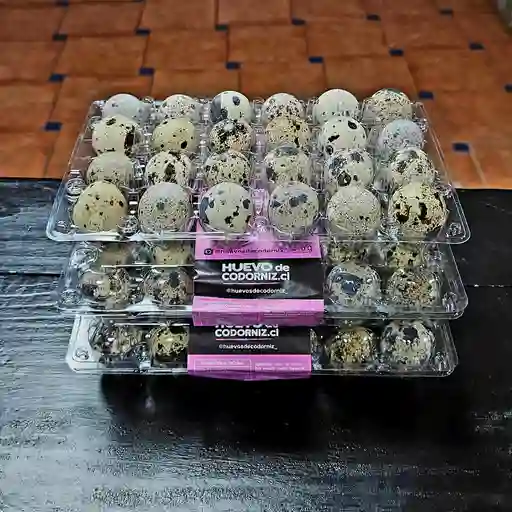 Huevos De Codorniz