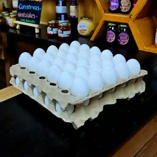 Huevos Tradicional Super Blanco