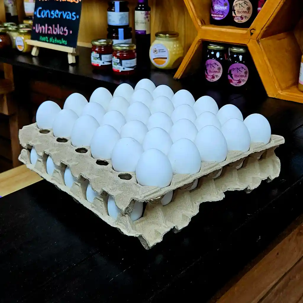 Huevos Tradicional Primera Blanco