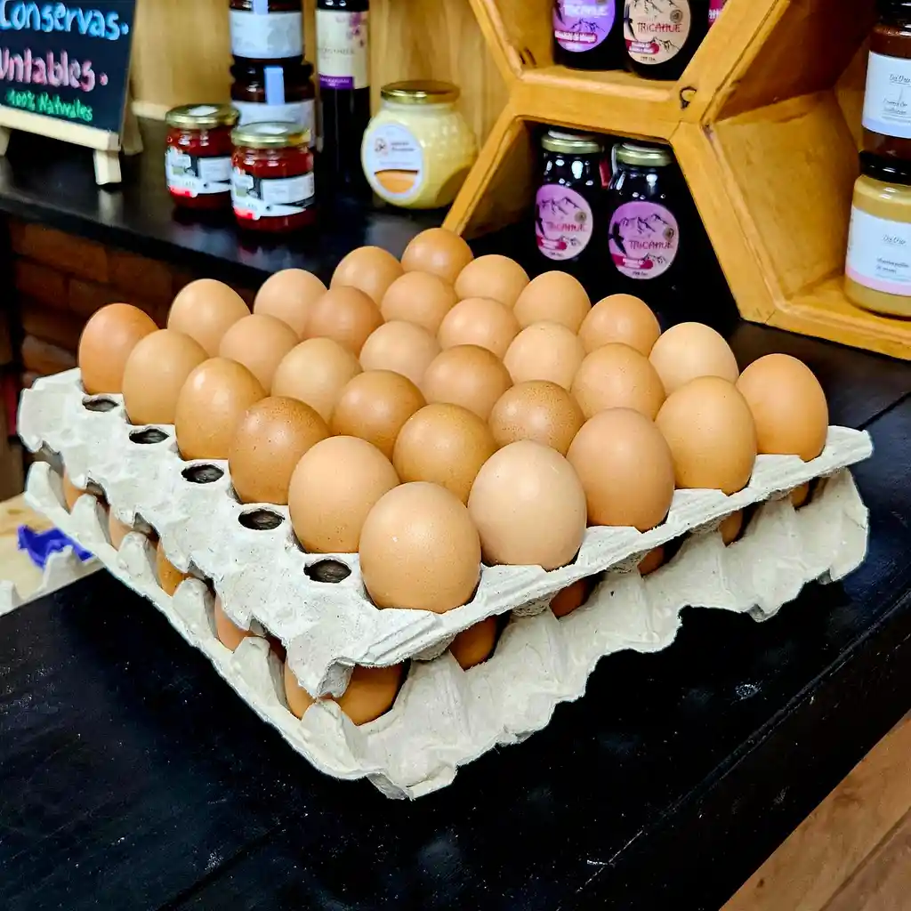 Huevos Tradicional Super Color