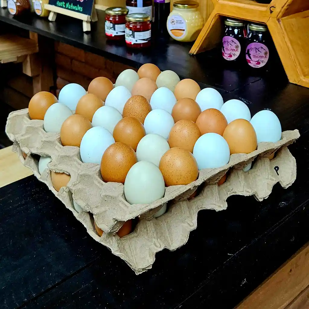 Huevos De Campo Super Criollos