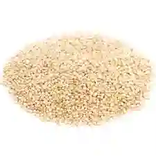 Quinoa Blanca