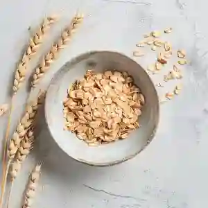 Avena Integral