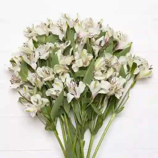 Ramo De 10 Astromelias