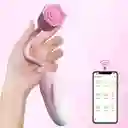 Vibrador Dual Gerbera