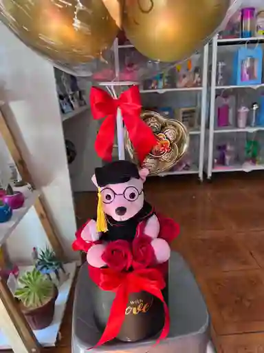 Box De Graduacion Peluche