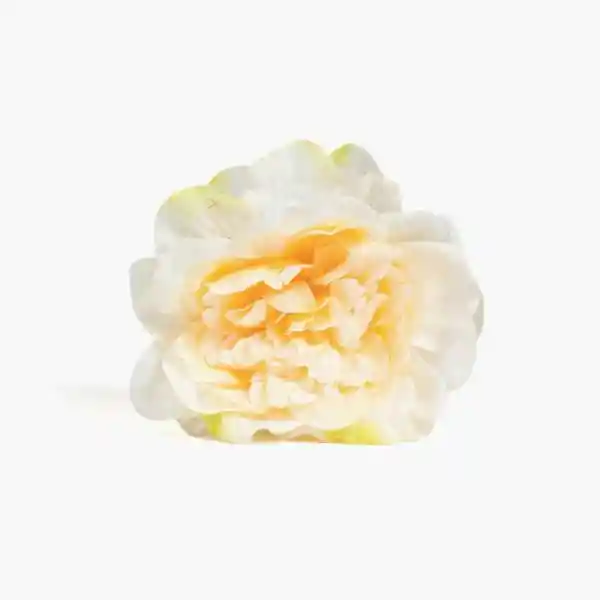 Pinche Flor Textura Botanicals Amarillo