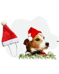 Wonder Dog - Gorro De Santa Claus ( 20x14 Cm ) Para Perros